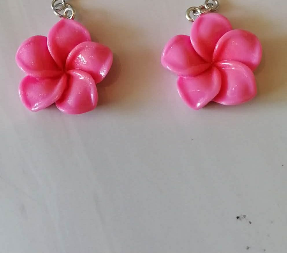 Boucles d'oreilles Noémie acier fait main