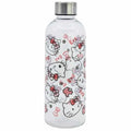 Gourde hello kitty