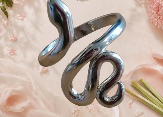 Bague serpent acier inoxydable