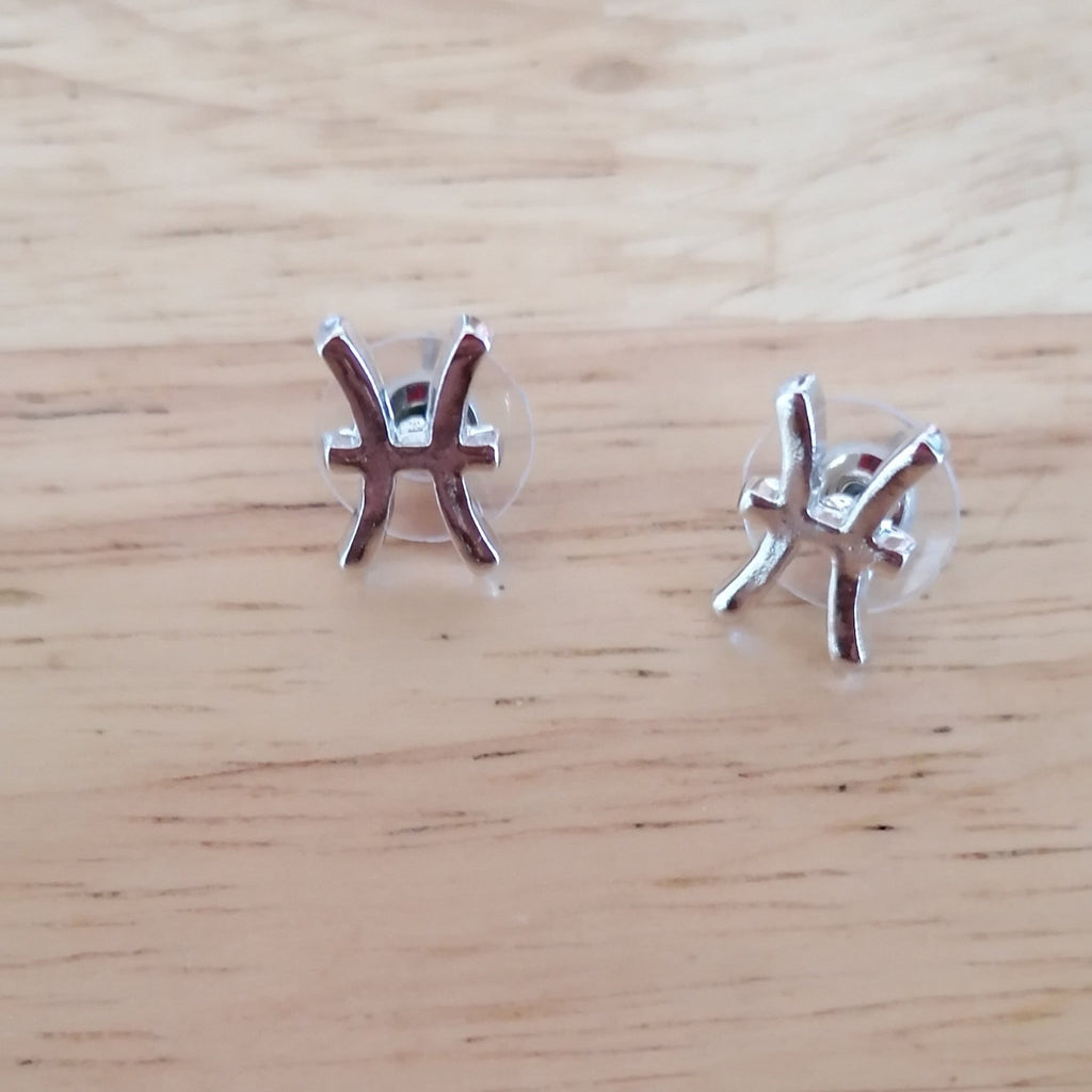 Boucles d'oreilles astrologique acier inoxydable