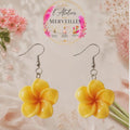 Boucles d'oreilles Noémie acier fait main