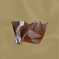 Sac