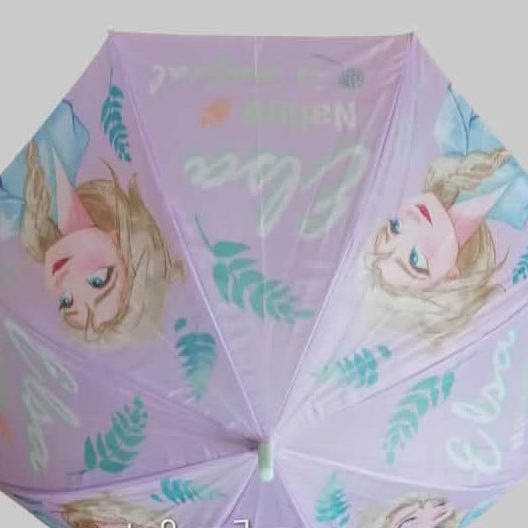 Parapluies reine des neiges