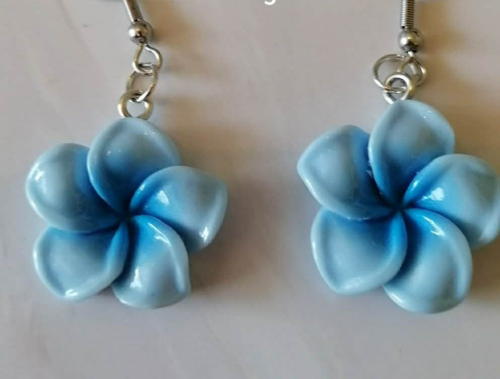 Boucles d'oreilles Noémie acier fait main
