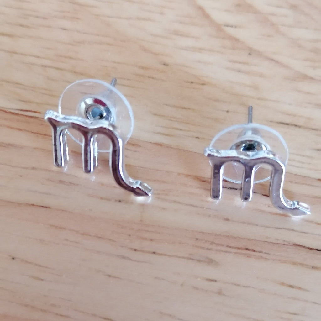 Boucles d'oreilles astrologique acier inoxydable