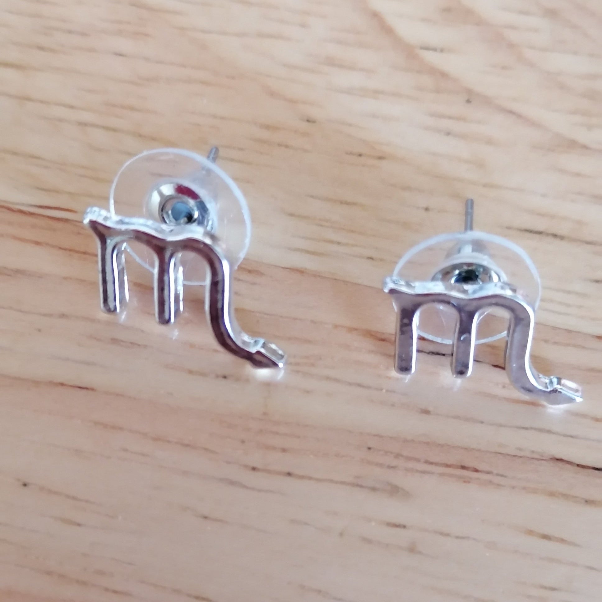 Boucles d'oreilles astrologique acier inoxydable