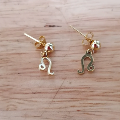 Boucles d'oreilles astrologique acier inoxydable